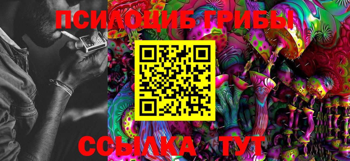 Псилоцибиновые грибы Psilocybine cubensis Родники