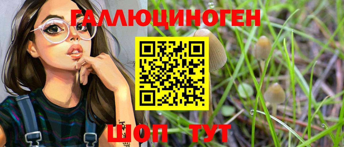 Родники  Псилоцибиновые грибы ЛСД  Галлюциногенные грибы Psilocybe  Вход с VPN 